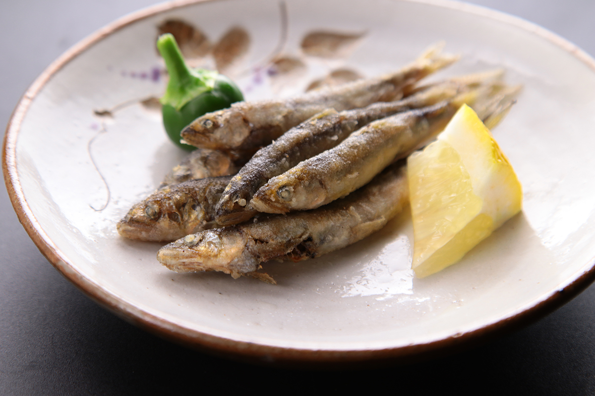 奥三河の恵み山河の幸を味わう