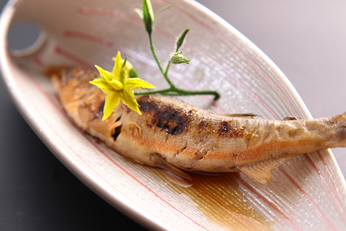 奥三河の恵み山河の幸を味わう